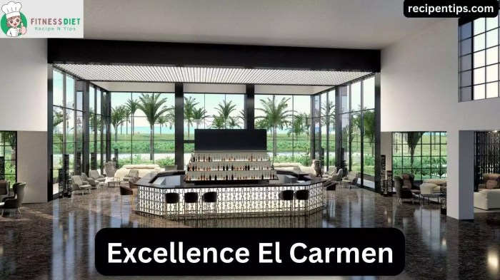 Excellence el carmen